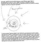 http://www.energialternativa.info/Public/NewForum/ForumEA/6/0/6/8/4/4/t/1245483372.gif