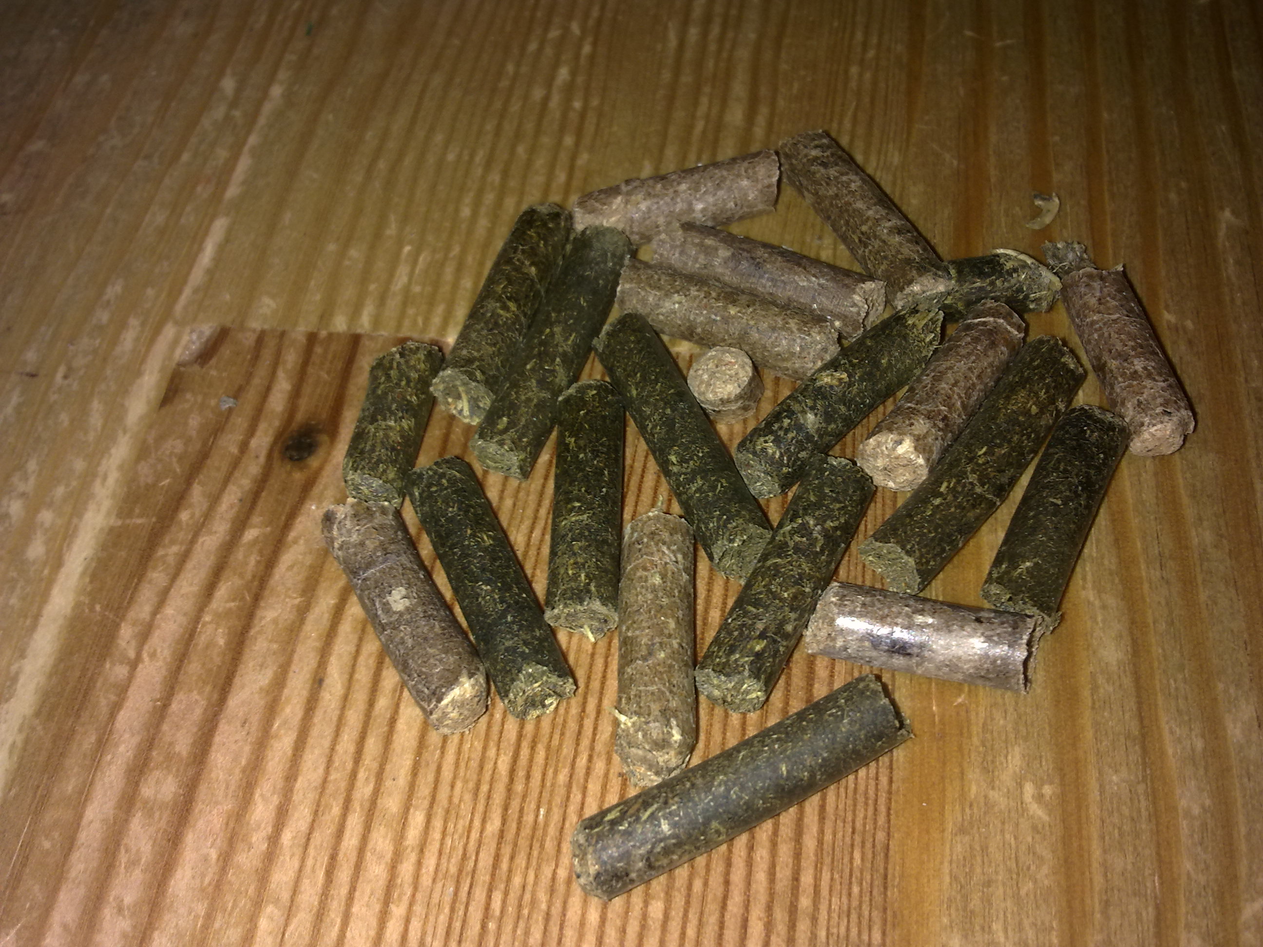ForumEA/D/pellet1.jpg