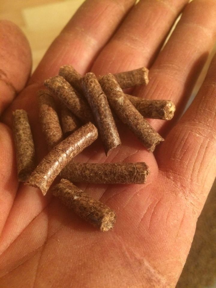ForumEA/E/pellet.jpg