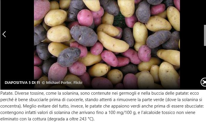 ForumEA/M/patate_1.JPG