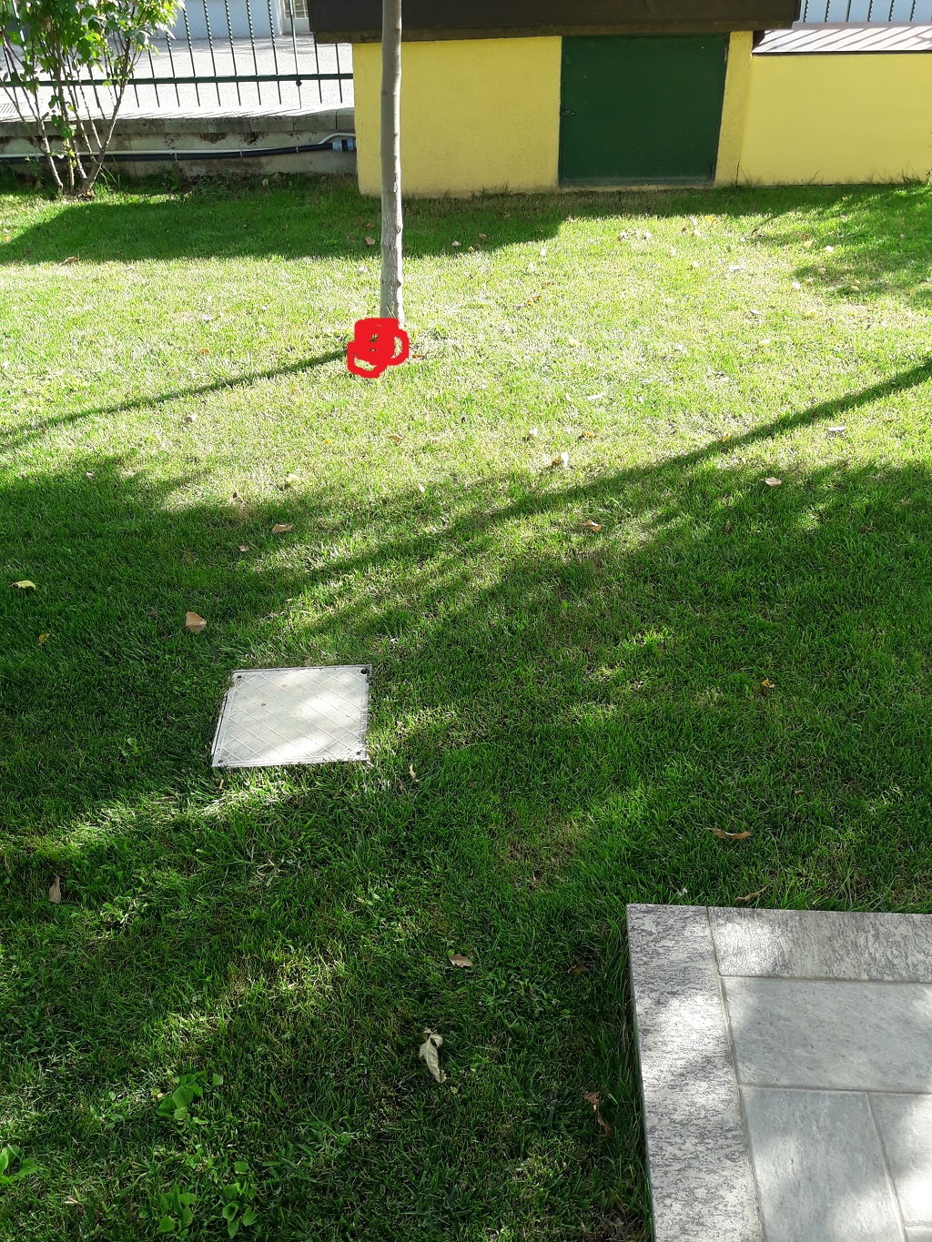 ForumEA/R/giardino-1.jpg
