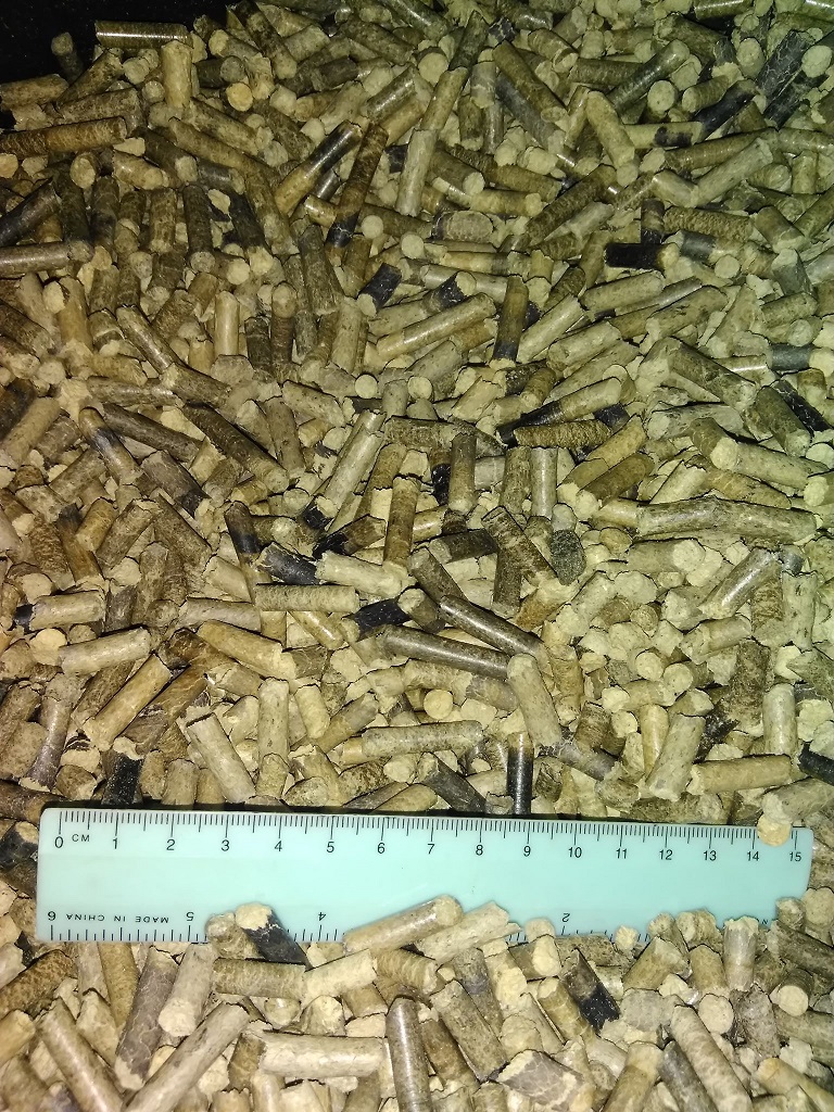 ForumEA/U/Foto5.jpg