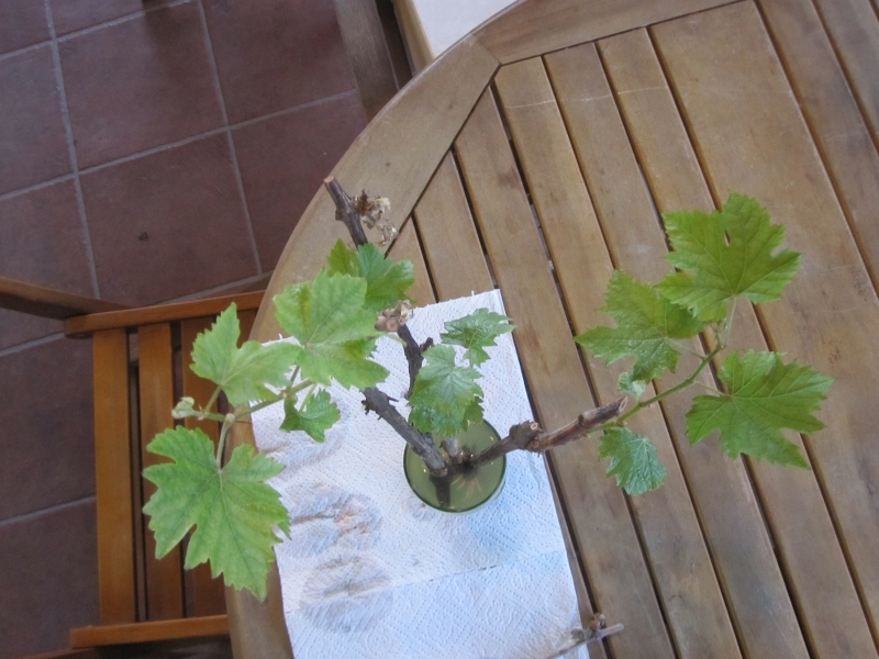 ForumEA/us/img208/4826/img3915800x600.jpg