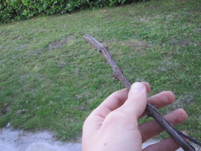 ForumEA/us/img826/4099/img3902800x600.jpg