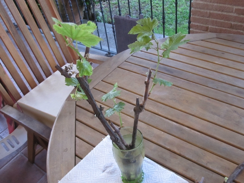 ForumEA/us/img827/1945/img3913800x600.jpg
