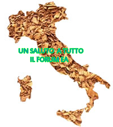http://www.energialternativa.info/public/newforum/ForumEA/B/forum%20EA.jpg