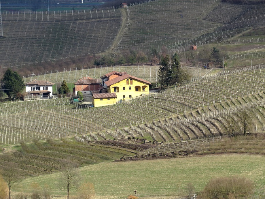 http://www.energialternativa.info/public/newforum/ForumEA/H/cascina%20e%20vigne.jpg