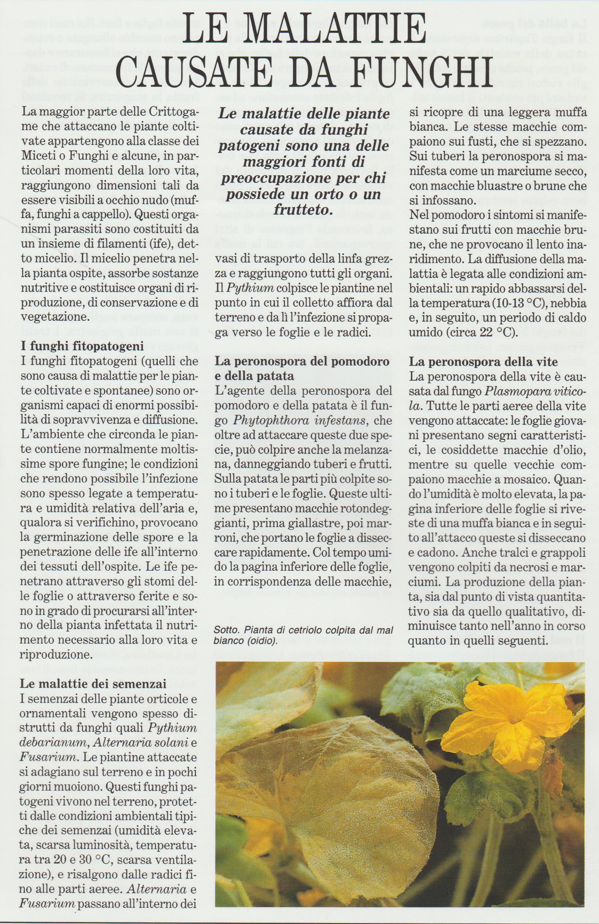 http://www.energialternativa.info/public/newforum/ForumEA/L/Immagine%20(113).jpg