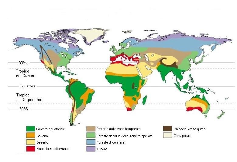 http://www.energialternativa.info/public/newforum/ForumEA/V/FORESTA_EQUATORIALE.JPG