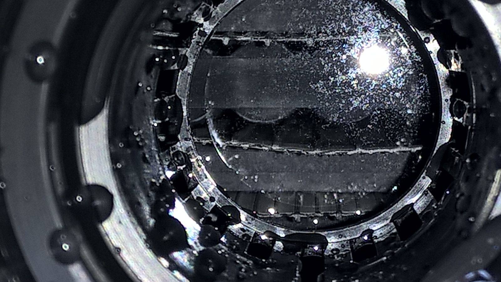 ForumEA/M/e69414d7-9286-4897-8712-8b288e81efcf.jpe