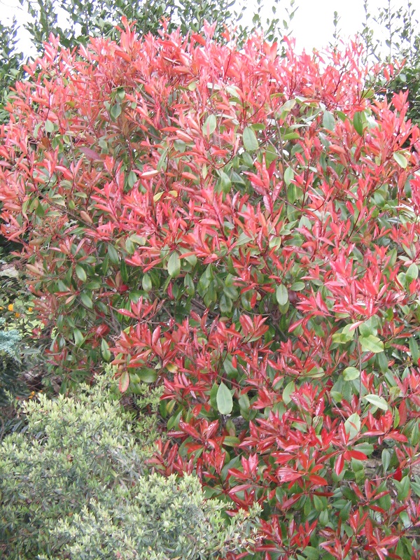 ForumEA/E/IMG_0623.JPG