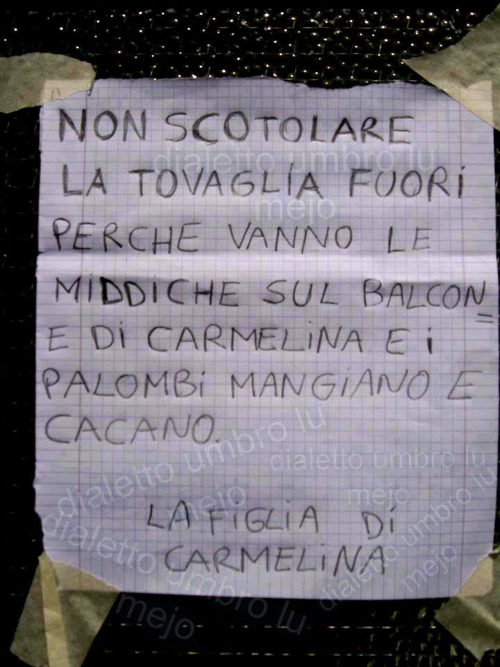 ForumEA/G/10354083_955531614476181_8136817476878528579_n.jpg