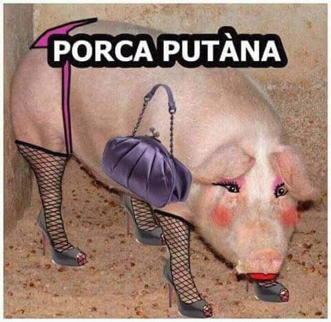 ForumEA/G/12202291_1056936457664222_1283556181_n.jpg