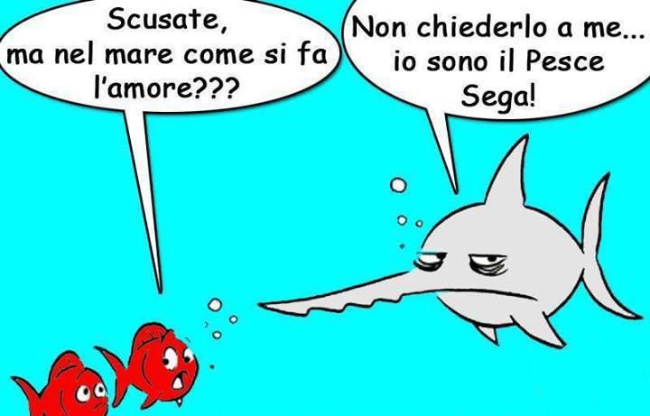 ForumEA/G/1640-pesci-rossi-parlano-mare-pesce-sega.jpg
