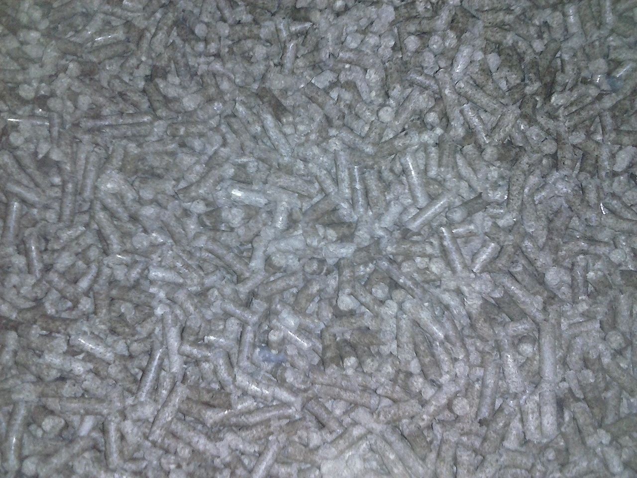 ForumEA/G/CAM00094.jpg