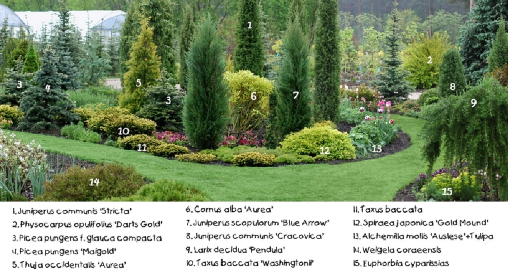 ForumEA/H/b1w9sxtuo1ngpvtf.jpg