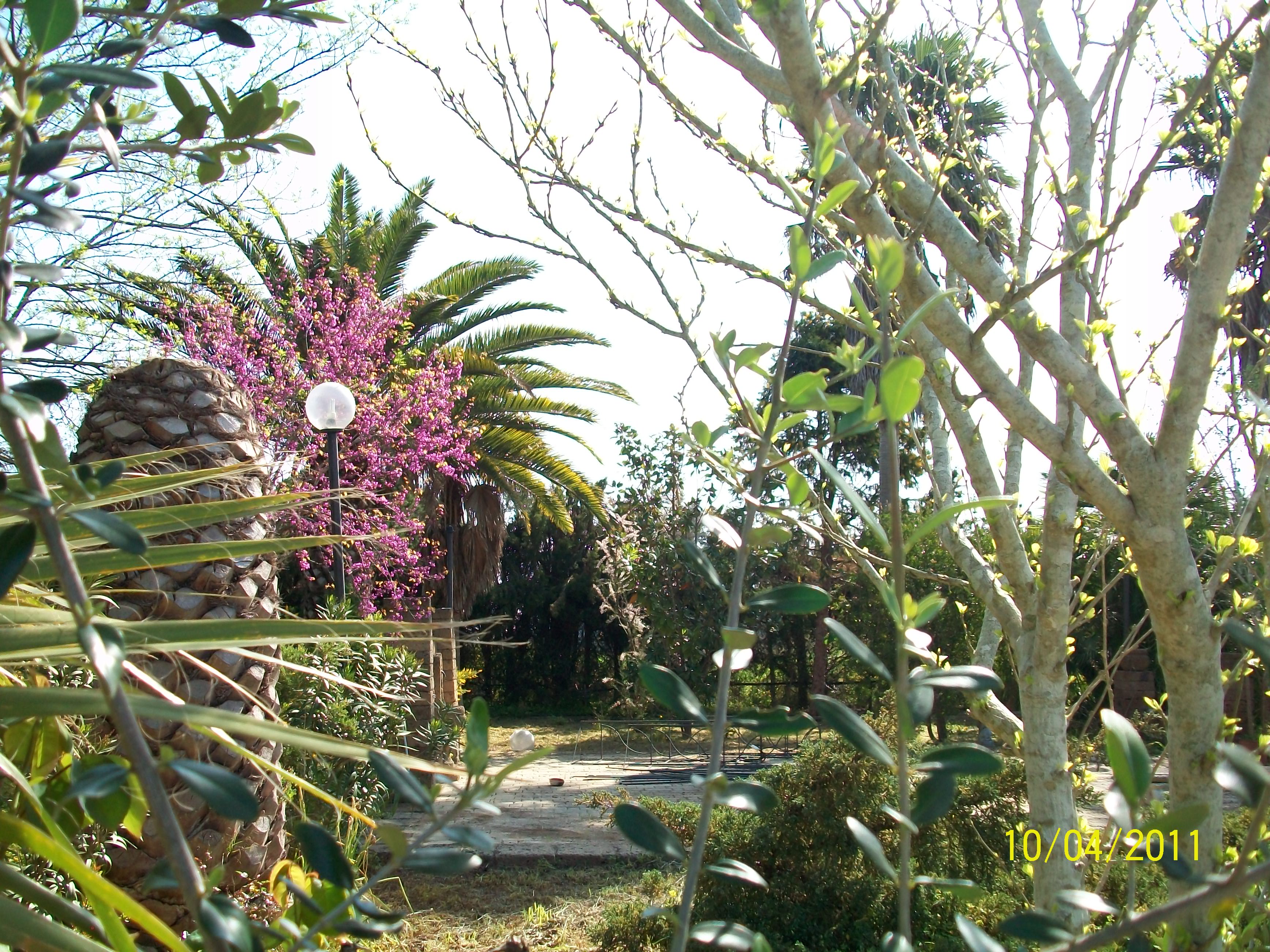 ForumEA/M/100_0896.JPG