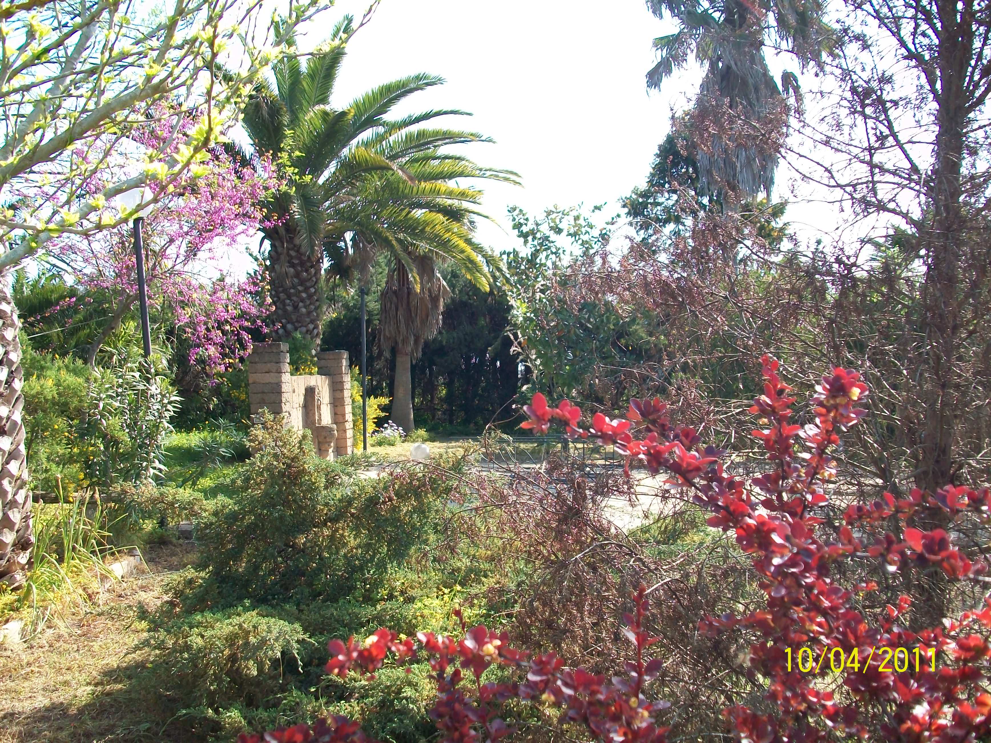 ForumEA/M/100_0897.JPG