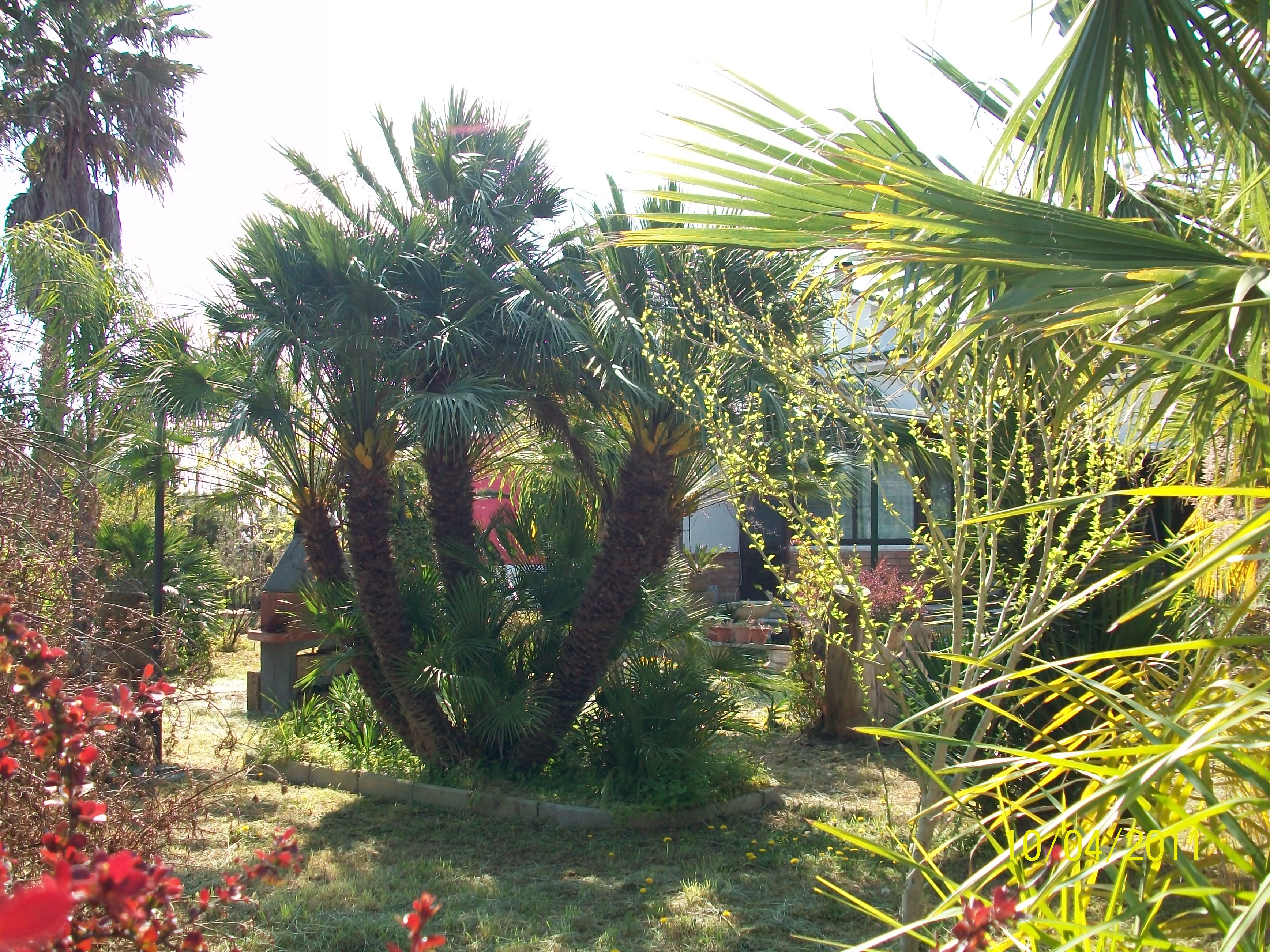 ForumEA/M/100_0898.JPG