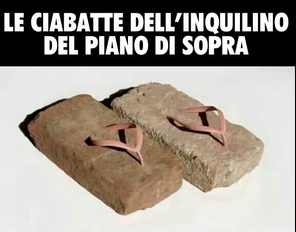 ForumEA/M/12509742_10208202055358745_2428651486289271139_n.jpg
