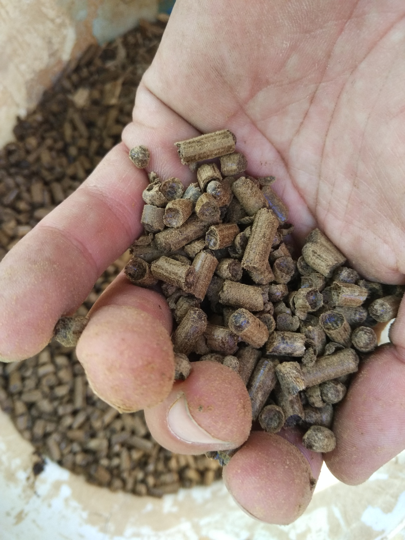 ForumEA/M/pellet.jpg