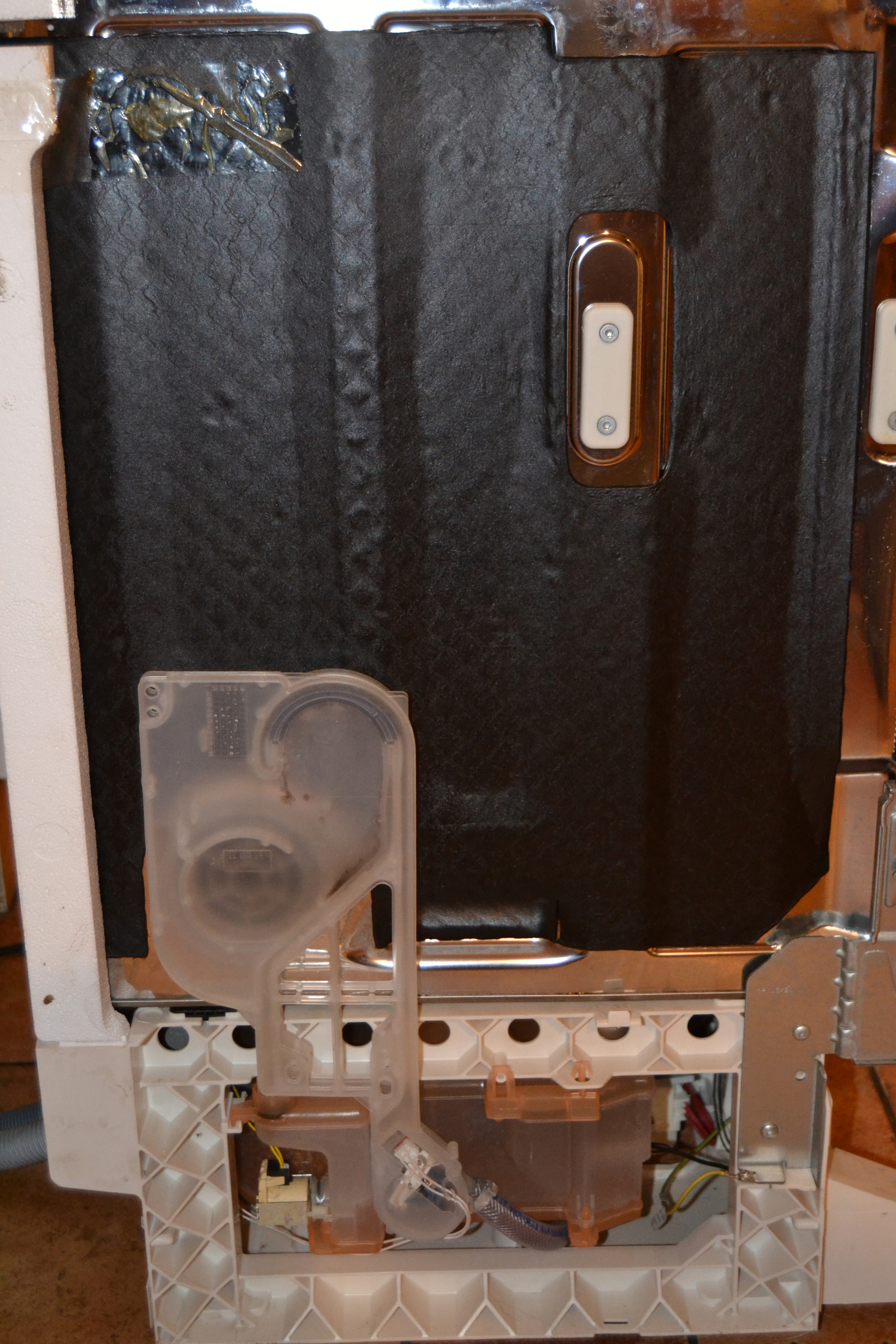 ForumEA/N/DSC_0553.jpg