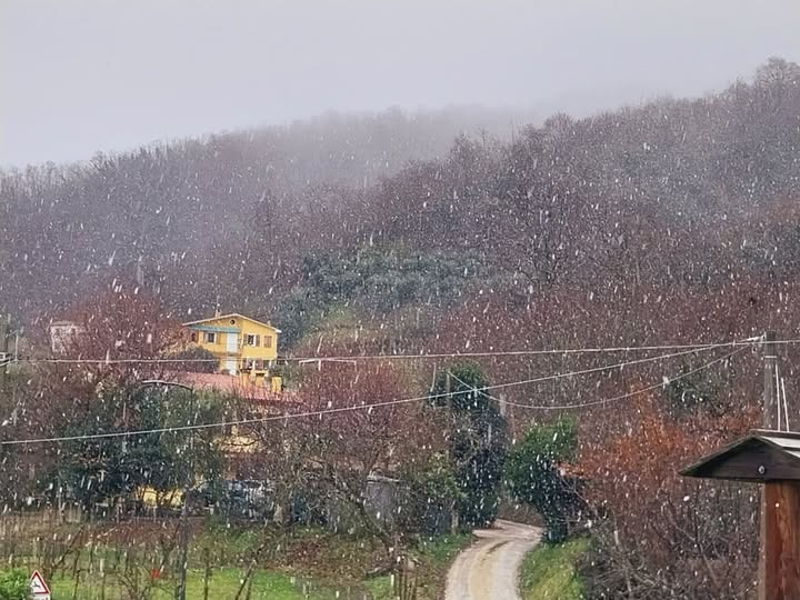 https://www.energialternativa.info/public/newforum/ForumEA/Z/2025-02-14_NEVE_SUL_VENDA.jpg