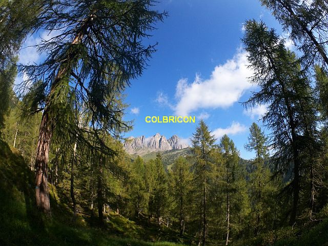 https://www.energialternativa.info/public/newforum/ForumEA/Z/COLBRICON%20DA%20VAL%20CIGOLERA.jpg