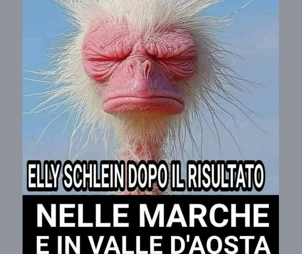 https://www.energialternativa.info/public/newforum/ForumEA/Z/Schermata%20del%202025-10-03%2021-04-10.png
