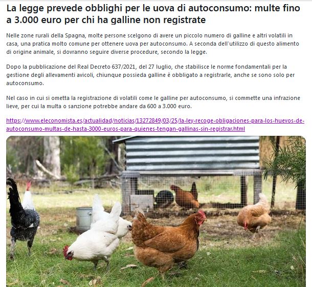 https://www.energialternativa.info/public/newforum/ForumEA/Z/galline.JPG
